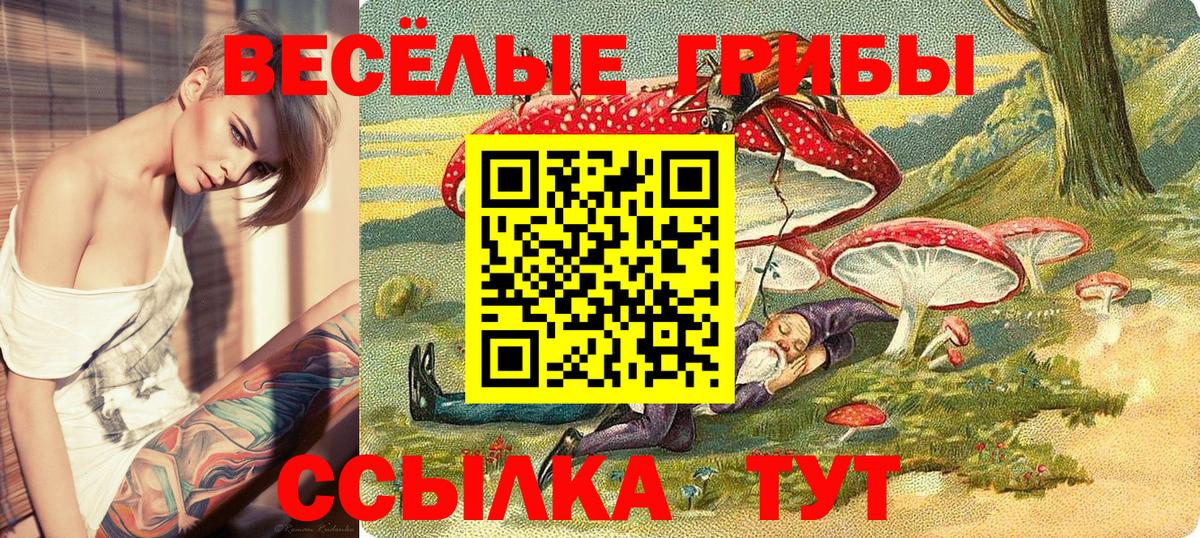 Галлюциногенные грибы мицелий  Вход с VPN  Балашов  Псилоцибиновые грибы MAGIC MUSHROOMS 